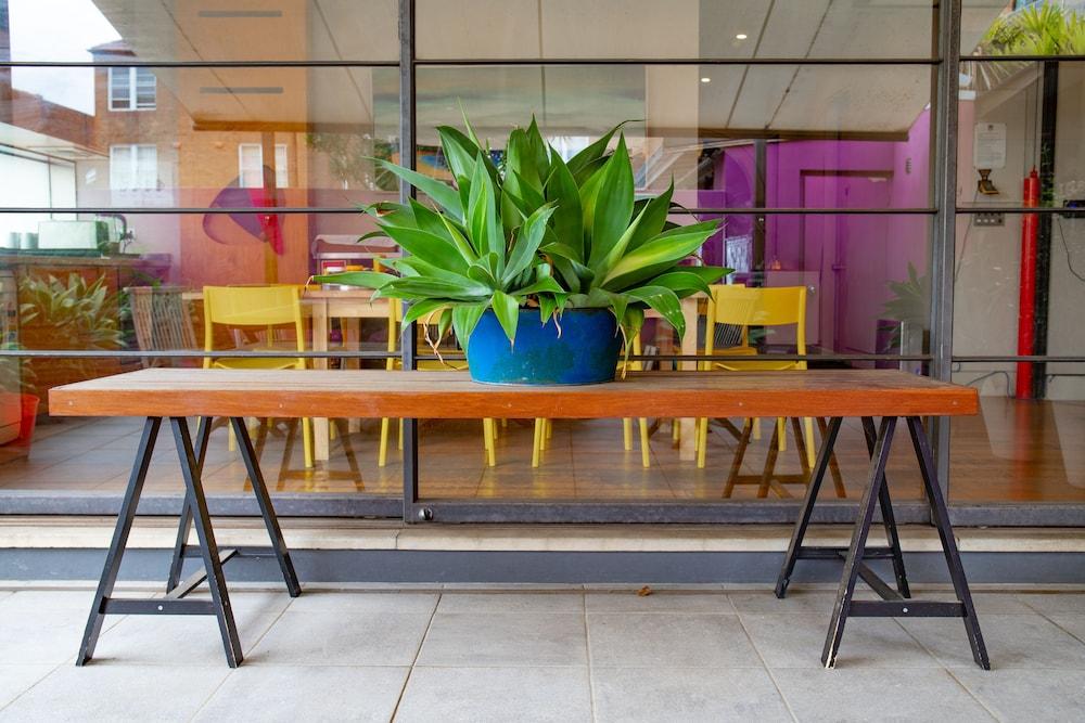 Dive Hotel Sydney Zewnętrze zdjęcie